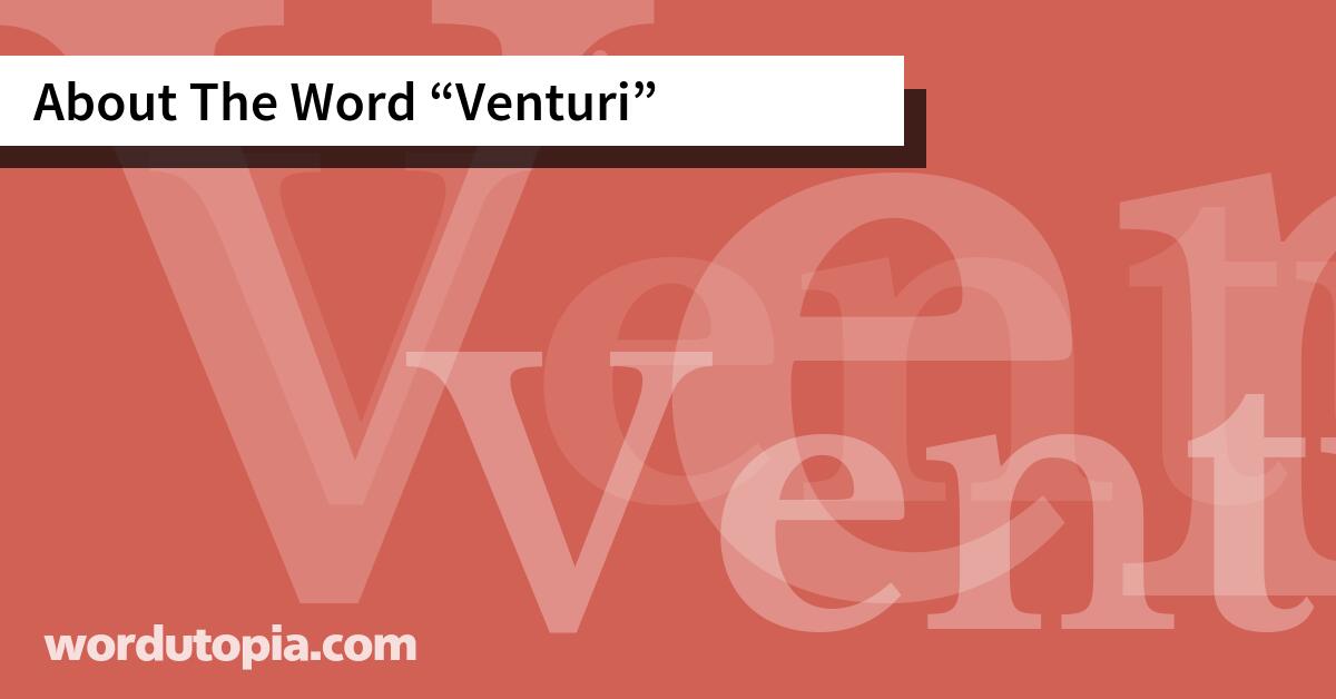 About The Word Venturi