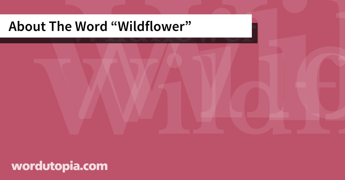About The Word Wildflower
