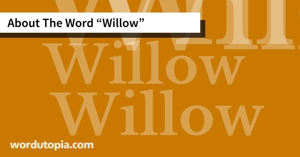 About The Word Willow