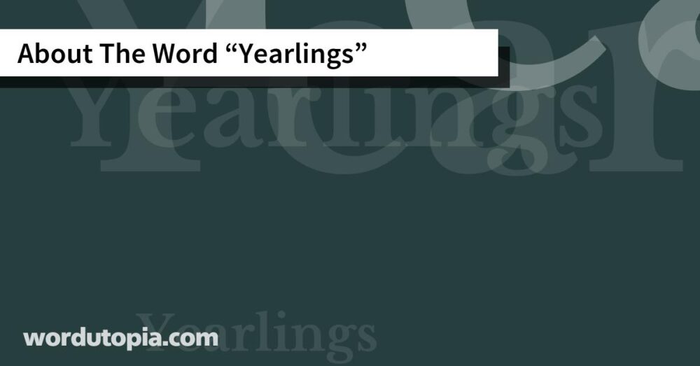 About The Word Yearlings