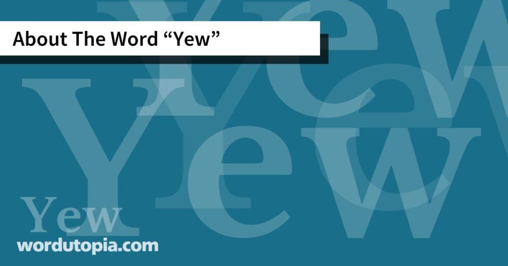 About The Word Yew